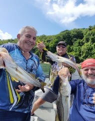 Guia de Pesca em São Vicente