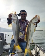 Pesca de Robalo Litoral Sul