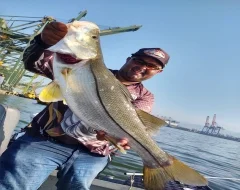 Pesca Esportiva No Litoral Sul