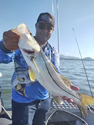 Pescaria de robalo em São Vicente