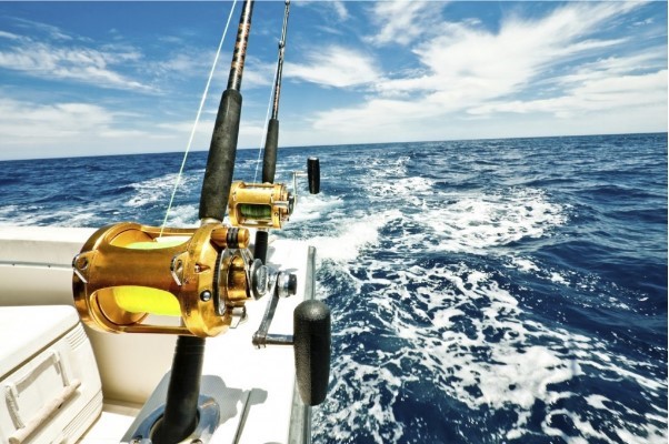 Pescaria em alto mar: tudo o que você precisa saber - Pesca de Robalo
